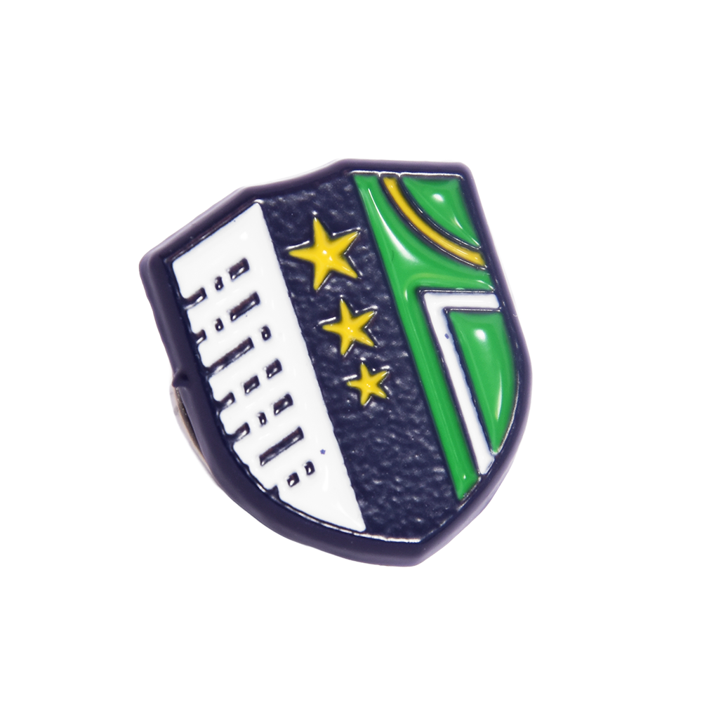 Pin